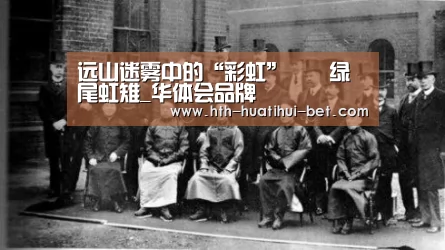 远山迷雾中的“彩虹”――绿尾虹雉_华体会品牌(图3) 华体会体验