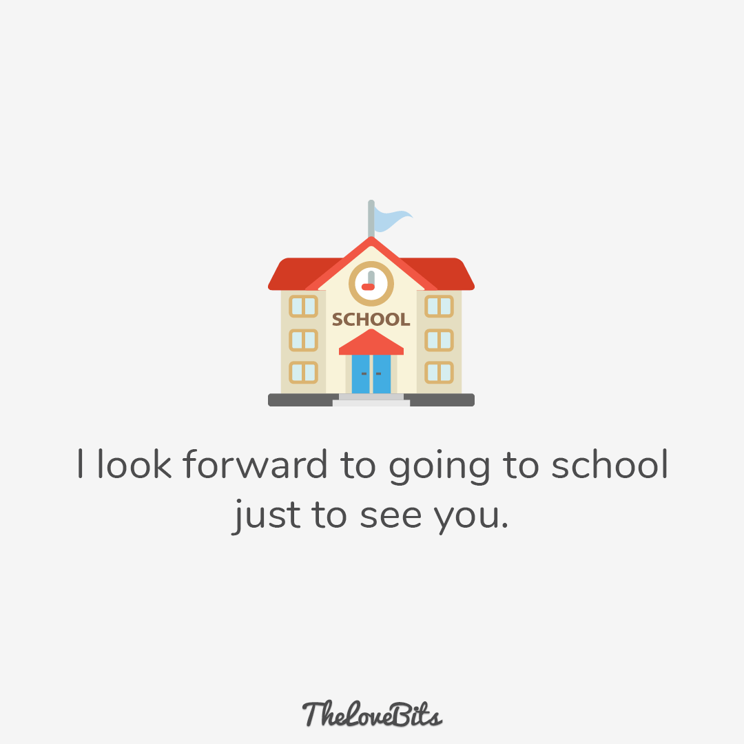 远山迷雾中的“彩虹”――绿尾虹雉_华体会品牌(图4) 华体会赛程