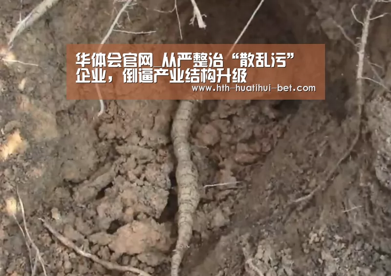 华体会官网_从严整治“散乱污”企业,倒逼产业结构升级(图4) 华体会品牌