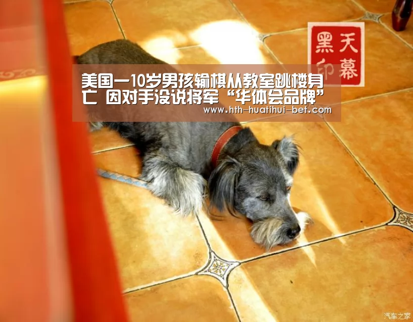 华体会官网