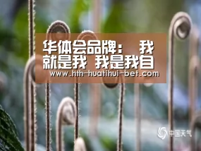 华体会品牌
