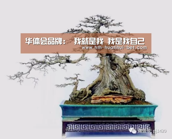 华体会赛程